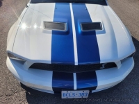 2008 Ford Mustang for sale in Riverhead, New York (ID-137463)