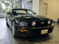 2008 Ford Mustang for sale in Riverhead, New York (ID-143290)