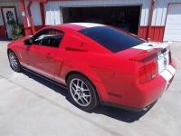 2008 Ford Shelby GT500 for sale (ID-106913)