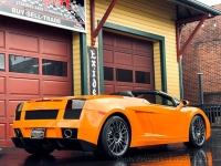 2008 Lamborghini Gallardo for sale in Riverhead, New York (ID-137381)