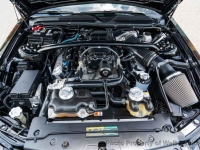2009 Ford Mustang for sale in Riverhead, New York (ID-143915)