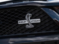 2009 Ford Mustang for sale (ID-143948)