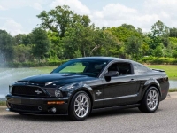 2009 Ford Mustang for sale (ID-143948)
