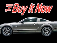 2009 Ford Shelby GT500 for sale in Addison, Illinois (ID-138340)