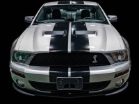 2009 Ford Shelby GT500 for sale in Addison, Illinois (ID-138340)