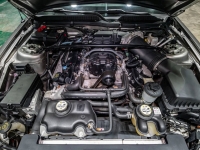 2009 Ford Shelby GT500 for sale in Addison, Illinois (ID-138340)