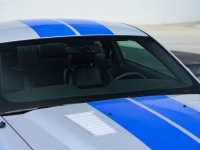 2009 Ford Shelby GT500 for sale (ID-144202)