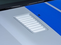 2009 Ford Shelby GT500 for sale (ID-144202)