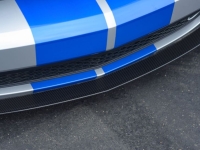 2009 Ford Shelby GT500 for sale (ID-144202)