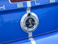2009 Ford Shelby GT500 for sale (ID-144202)