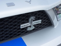 2009 Ford Shelby GT500 for sale (ID-144202)