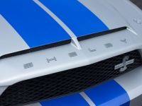 2009 Ford Shelby GT500 for sale (ID-144202)