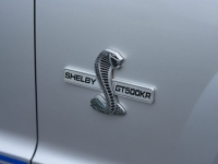 2009 Ford Shelby GT500 for sale (ID-144202)