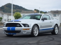 2009 Ford Shelby GT500 for sale (ID-144202)