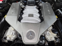 2009 Mercedes-Benz SL-Class for sale in Addison, Illinois (ID-137497)