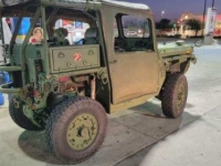 2010 Growler Special Forces Vehicle for sale (ID-100379)