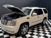 2013 Cadillac Escalade for sale in Addison, Illinois (ID-155288)
