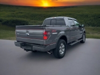 2013 Ford F150 for sale in Addison, Illinois (ID-130720)