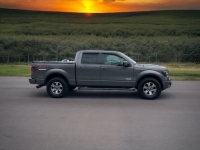 2013 Ford F150 for sale in Addison, Illinois (ID-130720)