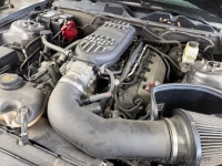 2014 Ford Mustang for sale in Riverhead, New York (ID-155568)