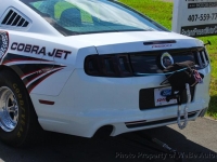 2014 Ford Mustang for sale in Riverhead, New York (ID-162738)