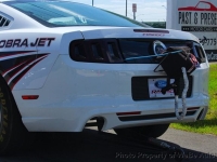 2014 Ford Mustang for sale in Riverhead, New York (ID-162738)