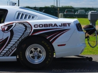 2014 Ford Mustang for sale in Riverhead, New York (ID-162738)