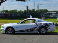 2014 Ford Mustang for sale (ID-163410)