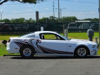 2014 Ford Mustang for sale (ID-163410)