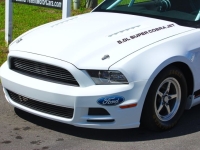 2014 Ford Mustang for sale (ID-163410)