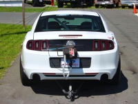 2014 Ford Mustang for sale (ID-163410)