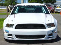 2014 Ford Mustang for sale (ID-163410)