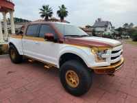 2015 Ford F150 for sale (ID-109729)