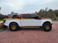 2015 Ford F150 for sale (ID-109729)
