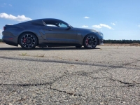 2015 Ford Mustang for sale in Riverhead, New York (ID-137323)