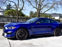 2015 Ford Mustang GT for sale (ID-127191)