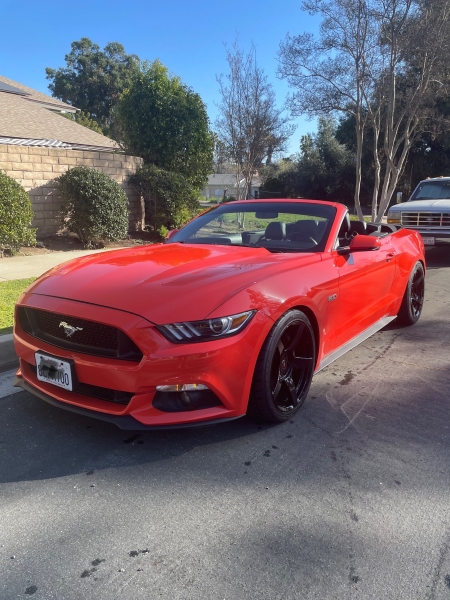 2016 Ford Mustang for sale in Mundelein, Illinois (ID-113729) 2016 Ford Mustang for sale in Mundelein, Illinois (ID-113729)
