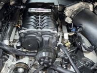 2017 Ford Mustang for sale in Addison, Illinois (ID-146526)