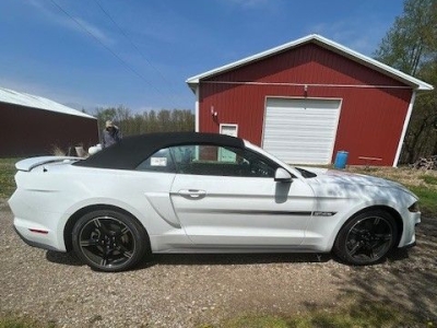 2019 Ford Mustang GT for sale