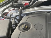 2019 Ford Mustang GT for sale (ID-141860)