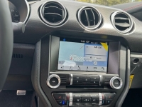 2019 Ford Mustang GT for sale (ID-141860)