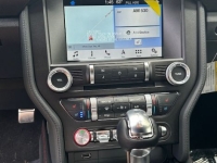 2019 Ford Mustang GT for sale (ID-141860)