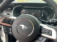 2019 Ford Mustang GT for sale (ID-141860)