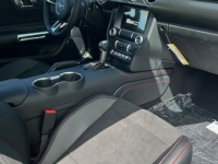 2019 Ford Mustang GT for sale (ID-141860)
