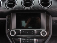 2021 Ford Mustang for sale (ID-155944)