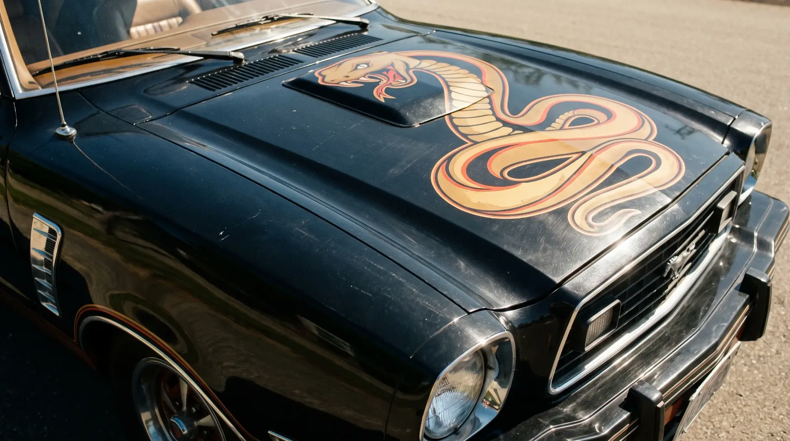1978 Ford Mustang II King Cobra hood graphic detail