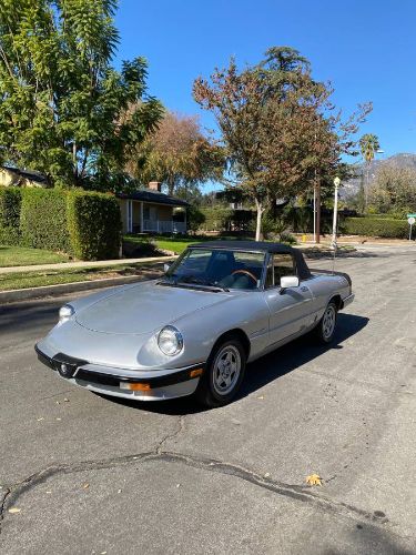 1985 Alfa Romeo Spider