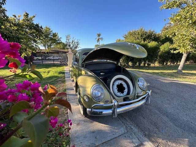 1956 Volkswagen Beetle