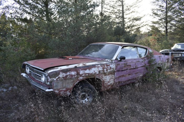 1972 Ford Torino