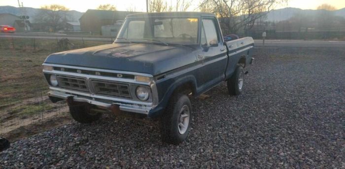 1977 Ford F150